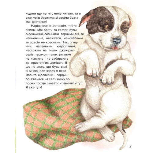 Ірина Константюк: Пригоди Купера: Количество страниц 52