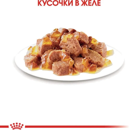 Влажный корм Royal Canin Sterilised в желе для кастрированных котов и стерилизованных кошек 85 г (4156001): Класс Супер премиум