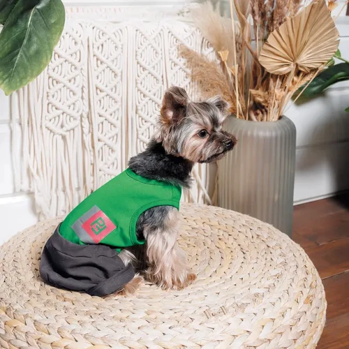 Костюм Aleks Pet Fashion XS2 (PR243055): Тип Костюмы