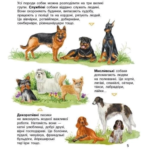 Енциклопедія дошкільника. Собаки: Производитель Ранок