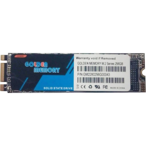 Golden Memory Smart 256 GB (GM2280256G)