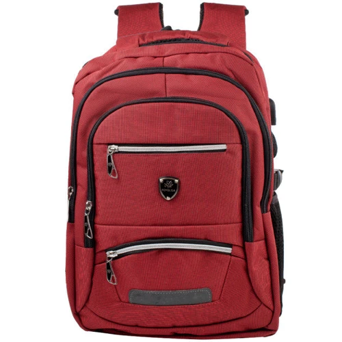 Чоловік рюкзак Valiria Fashion бордовий (DETAT2114-1)