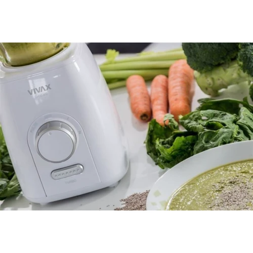 Блендер Vivax BL-600G: Конструкция стационарный