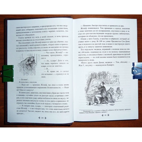 Александр Дюма: Капитан Памфил. История моих животных: Количество страниц 544