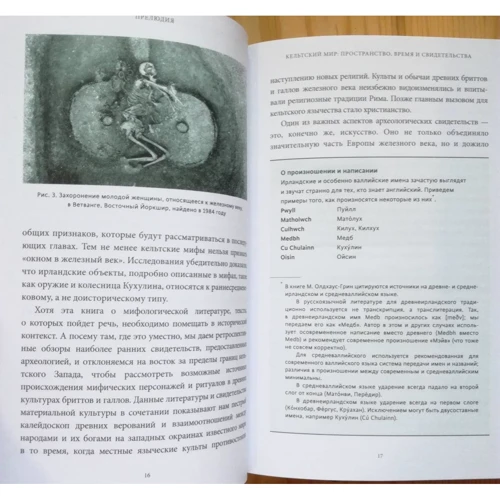 Миранда Олдхаус-Грин: Кельтские мифы. От короля Артура и Дейрдре до фейри и друидов: Автор Миранда Олдхаус-Грин
