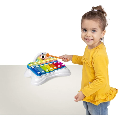 Іграшка музична Chicco Flashy the Xylophone (09819.10): Вік від 1 року