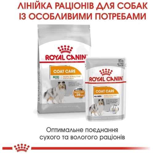 Сухой корм Royal Canin Coat Care Adult для собак мини пород с тусклой и сухой шерстью 3 кг (1220030): Класс Супер премиум