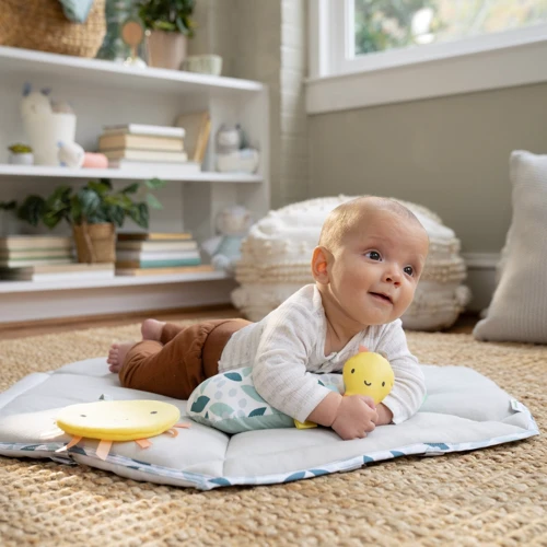 Центр ігровий розвиваючий Chicco 6в1 Tummy to Toes Ingenuity (16904): Розмір, см 83x100x100