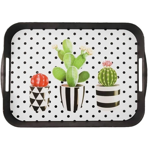 Поднос Violet House 40х28 см (1196 CACTI прям. 40*28 см)