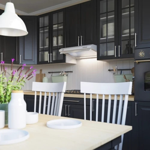 Витяжка ELEYUS City 50 WH: Тип монтажу настінний