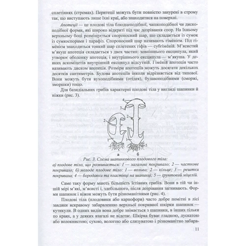 Василь Козак: Гриби України. Довідник (2-ге видання): Обкладинка Твердая