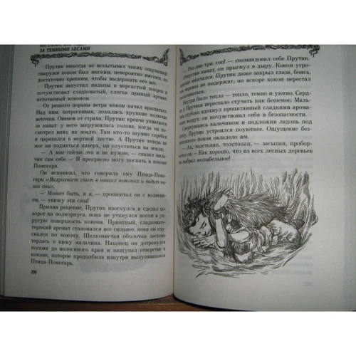 Пол Стюарт, Крис Ридделл: Хроники края. За Темными Лесами: Жанр Детская фантастика и фэнтези
