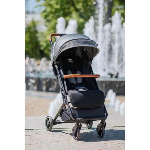Прогулянковий візочок 4Baby TWIZZY XXII Grey: Тип коляски Прогулочная