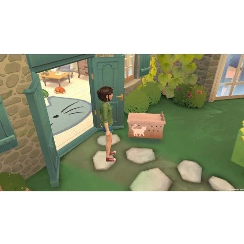 Cat Rescue Story (Nintendo Switch): Жанр Ролевые игры