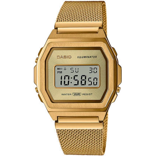 

Casio A1000MG-9EF