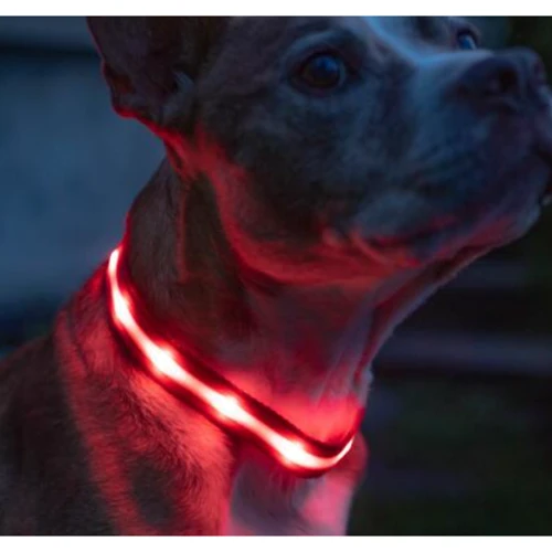 Ошейник с подсветкой UFT PET LED 1 Red для собак на батарейках L (UFTPL1Lred): Цвет красный