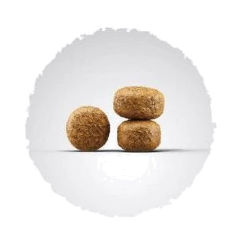 Сухой корм для собак Josera Balance для пожилых и малоактивных собак 12.5 кг (50012838): Тип Сухой корм