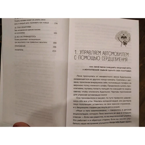 Ірина Галеева: Винесення мозку. Чудеса сприйняття і інші особливості роботи нервової системи: Обкладинка Тверда