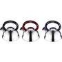 Чайник Wellberg WB 6135 (2.5л): Область применения Для индукционных плит