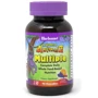 Bluebonnet Nutrition Rainforest Animalz, Multiple Complete Daily, Assorted Fruit Flavor, 90 Chewables (BLB0190)