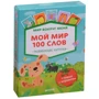 Мир вокруг меня. Мой мир. 100 слов + плакат с алфавитом. 50 развивающих карточек: Производитель Клевер Медиа Групп