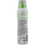 Fa Fresh & Dry 150 ml Антиперспирант-спрей Зеленый Чай: Назначение От запаха