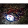 Ліхтар туристичний Naturehike TD-02 NH00T002-D біло-червоний (6927595741726): Тип Налобный