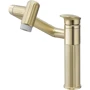 Смеситель для раковины Lefton 360° Rotatable Single-Hole Bathroom Faucet-BF2208 Brushed Gold