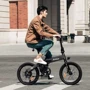 Электровелосипед HIMO Z20 (Gray): Допустимая нагрузка, кг 100