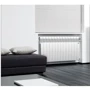 Радиатор Royal Thermo BiLiner 500 Bianco Traffico – 12 секций: Тип радиатора Секционный