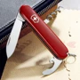 Мультитул Victorinox Waiter (0.3303.B1) (Vx03303.B1): Количество функций 9