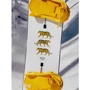 Доска для сноуборда BURTON (107121B) PROCESS FLYING V 2025 WHITE/YELLO 159 см (9010510758194): Пол женский