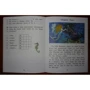 The Little Mermaid: ISBN 978-5-8112-6204-5