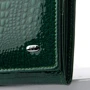 Жіночий гаманець Sergio Torretti зелений (31344 dark-green): Стать жіночий