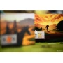 Caylus 1303