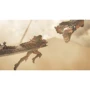 Monster Hunter Wilds PS5 (5055060905029): Издательство Capcom