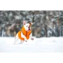 Курточка двусторонняя AiryVest для средних собак, размер S 30, оранжево-салатовая (4823089300030): Обхват шеи 46-50 см