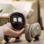 Loona Smart Robot Basic kit : Производитель Loona
