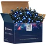 Гирлянда уличная (наружная) Springos 18 м 300 LED CL0327 Blue фото 18