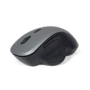 Мышь Gembird MUSW-6B-02-BG Wireless Black/Gray: Интерфейс подключения Wireless