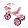 Велосипед Best Trike 3-х колесный (BS-60725): Тип 3х колесный велосипед