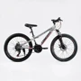 Спортивный велосипед Corso Concept 24" серый (CP-24902): Диаметр колес, дюймов 24