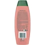 Palmolive Naturals Шампунь 2в1 Гидробаланс. Экстракт Персика 350 ml: Пол Для женщин