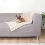 Покрывало Trixie Cosy для собак 100х70 см бежевый (4047974371640): Производитель Trixie