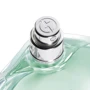 Парфюмированная вода Giorgio Armani Acqua di Gioia 100 ml: Аромат Цветочный