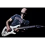 Звукосниматель Звукосниматель DIMARZIO DP425W SATCH TRACK (WHITE): Производитель DIMARZIO