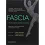 Дэвид Лесондак: Fascia. Что это такое и почему это важно