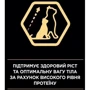 Сухой корм Pro Plan Sterilised Kitten для стерилизованных котят с лососем 1.5 кг (7613037684070) фото 7