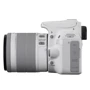Canon EOS 100D Kit (18-55mm) IS STM White (UA): Поддержка карт памяти SD (SDHC, SDXC)