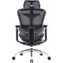 Офисное кресло Sihoo DORO C300 Pro Mesh Black (DORO-C300-PRO-M101)